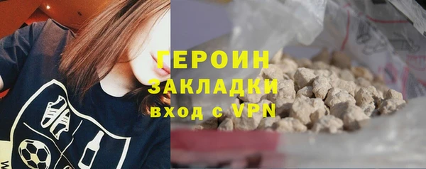 гашик Алексин