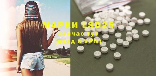 прущие грибы Алзамай