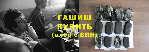 гашик Алексин