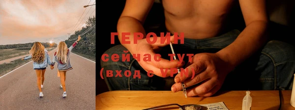 гашик Алексин