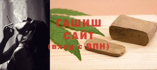 гашик Алексин