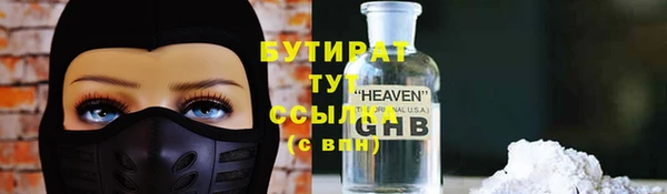 гашик Алексин