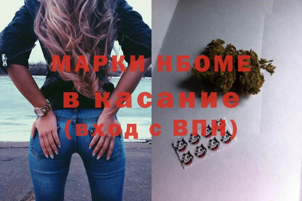 прущие грибы Алзамай