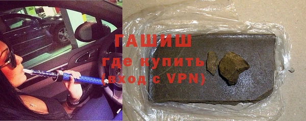 гашик Алексин