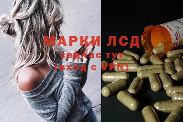 прущие грибы Алзамай
