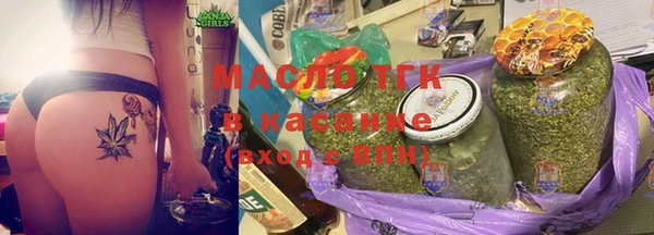 гашик Алексин