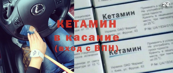 гашик Алексин