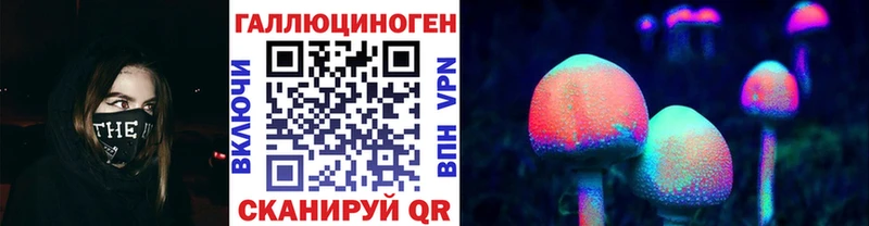 хочу   Кольчугино  Галлюциногенные грибы Cubensis 
