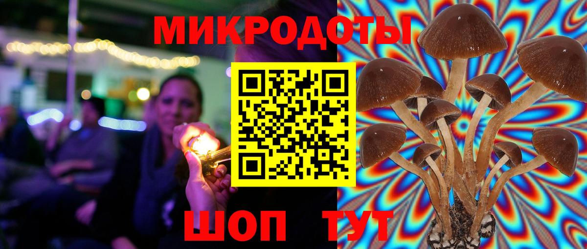 Кольчугино  Псилоцибиновые грибы GOLDEN TEACHER  Вход с VPN 
